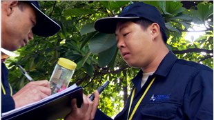 There are 100 mosquito killers in Guangzhou